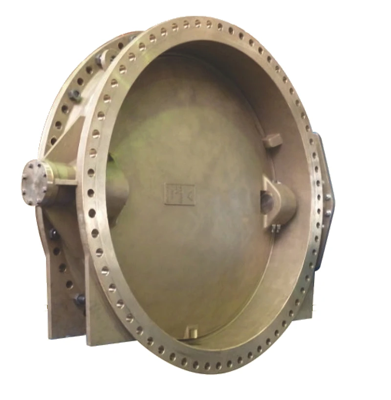 Corps et disque de vanne